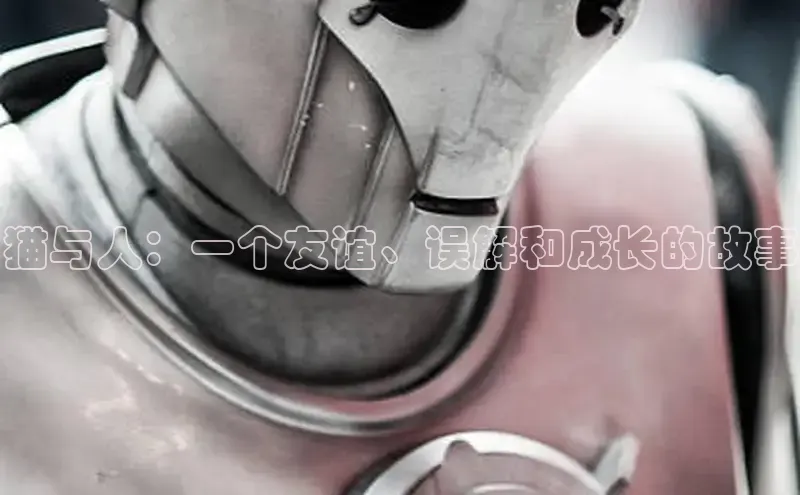 漫蛙漫画(网页入口)_漫蛙manwa官网_