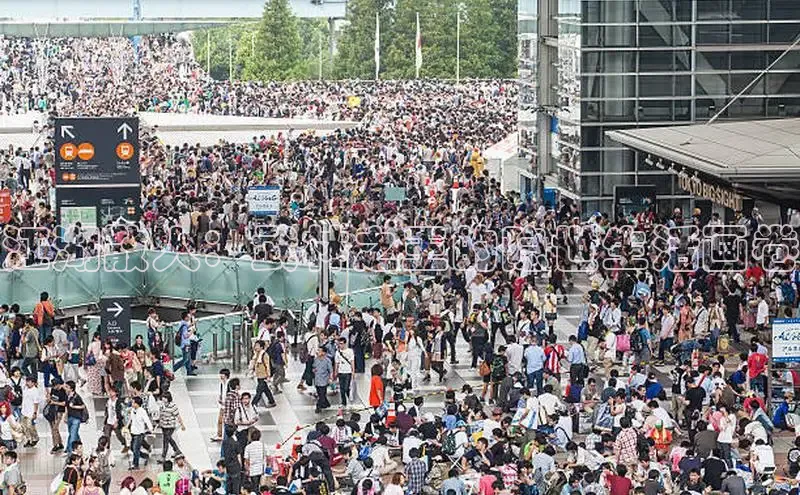 漫蛙官网正版入口